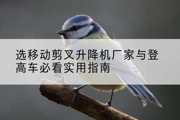 徽州电动升降机厂家-选移动剪叉升降机厂家与登高车必看实用指南