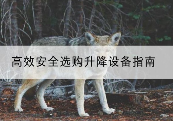 徽州升降货梯厂家推荐-*安全选购升降设备指南